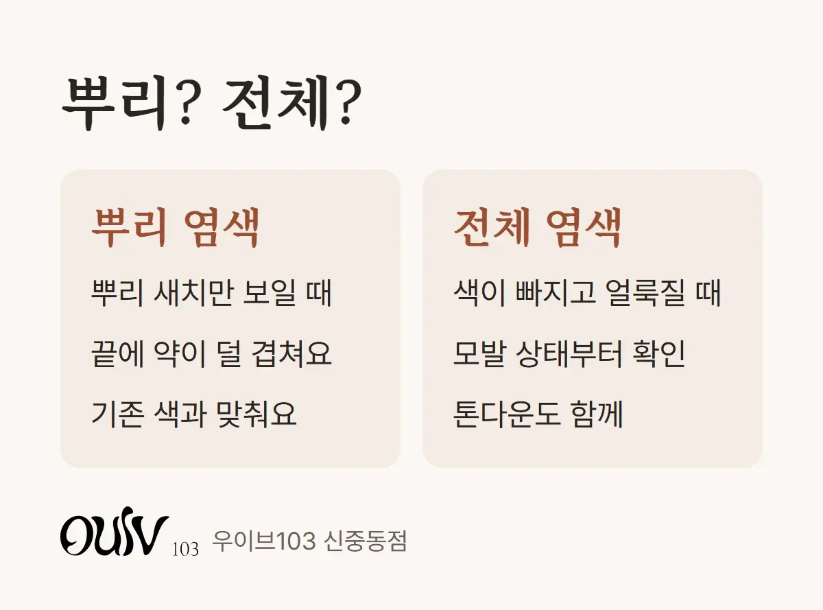 뿌리 염색과 전체 염색을 언제 고르는지 나란히 비교한 그림
