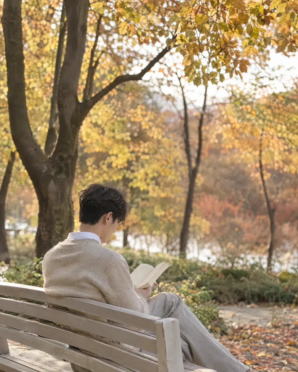 가을 공원 벤치에서 책을 읽는 자연스러운 컬 윗머리의 남성 뒷모습